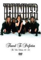 Thunder (UK) : Flawed to Perfection - the Videos 1990-1995